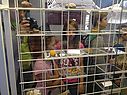 Filename=image_24.jpg
Filesize=102KiB
Dimensions=643x480
Date added=Jun 26, 2014 image_24.jpg