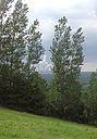 Filename=image_60.jpg
Filesize=108KiB
Dimensions=480x690
Date added=Jun 26, 2014 image_60.jpg